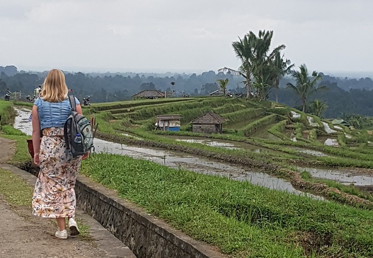 Maak een wandeling langs de rijstvelden van Jatiluwih, Bali, Indonesië