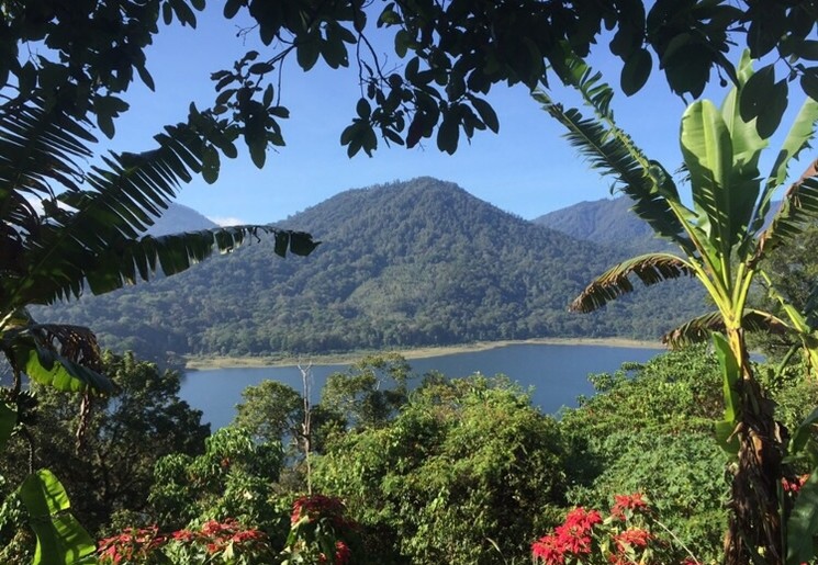 Mooie groene omgeving in Munduk