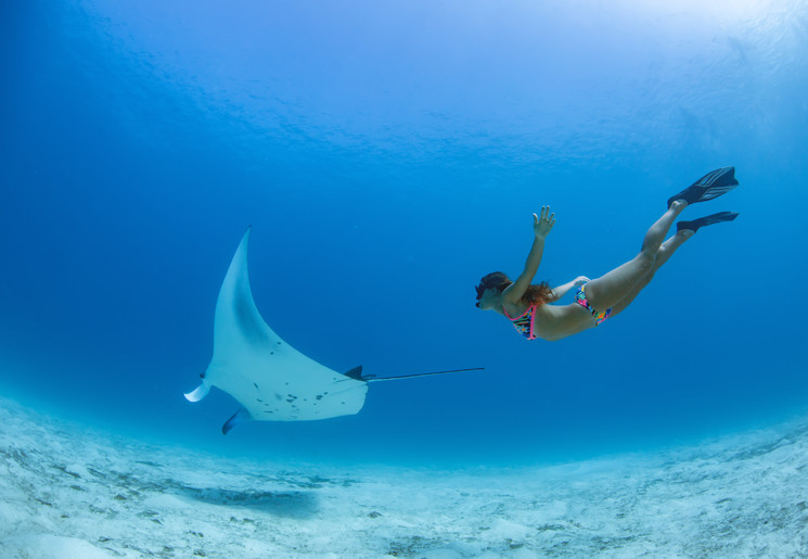 Oog in oog met een mantarog tijdens het snorkelen