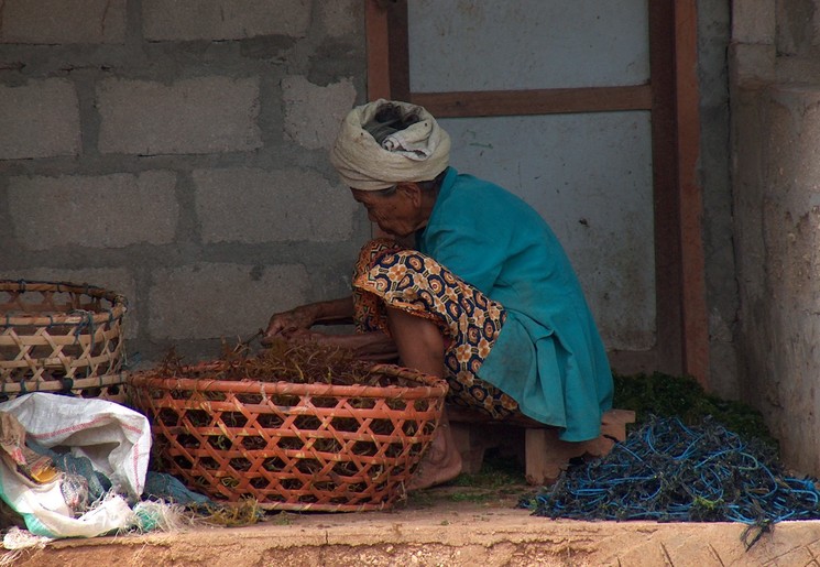Indonesie-Bali-NusaLembongan-lokalevrouw