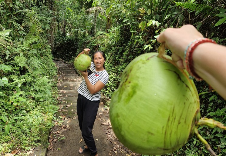 Vind overheerlijke kokosnoten tijdens een wandeling bij Sidemen, Indonesië