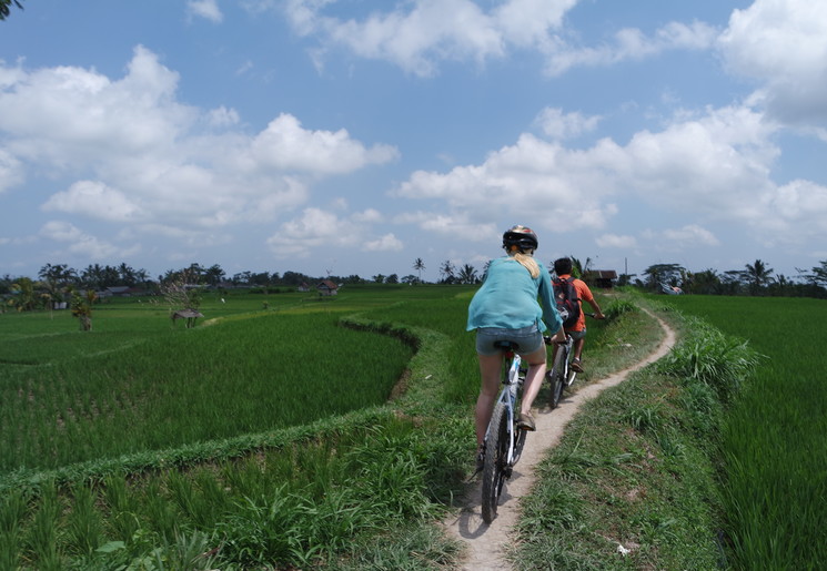 Fietsen langs rijstvelden op Bali