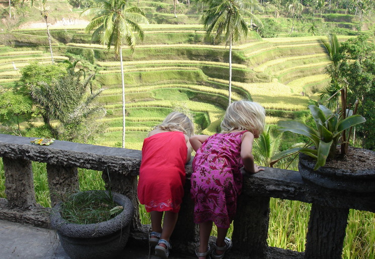 Kinderen bij de rijstvelden in Bali