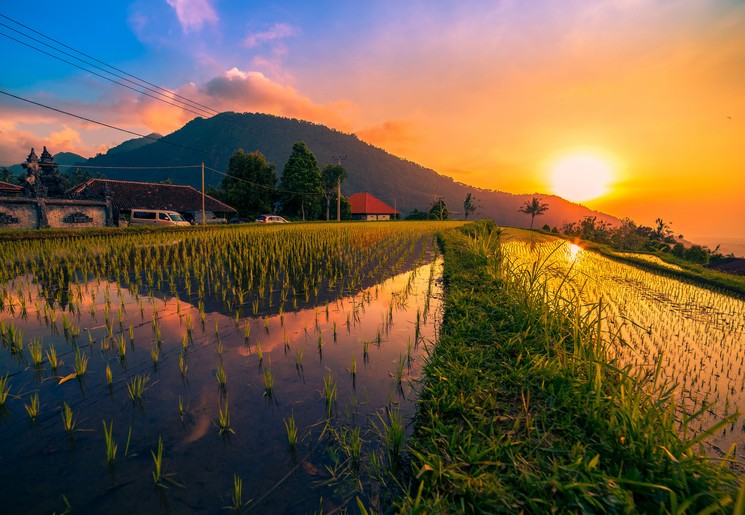 Prachtige zonsondergang bij de rijstterrassen op Bali