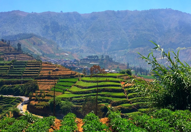Java, Indonesië Java, Indonesië