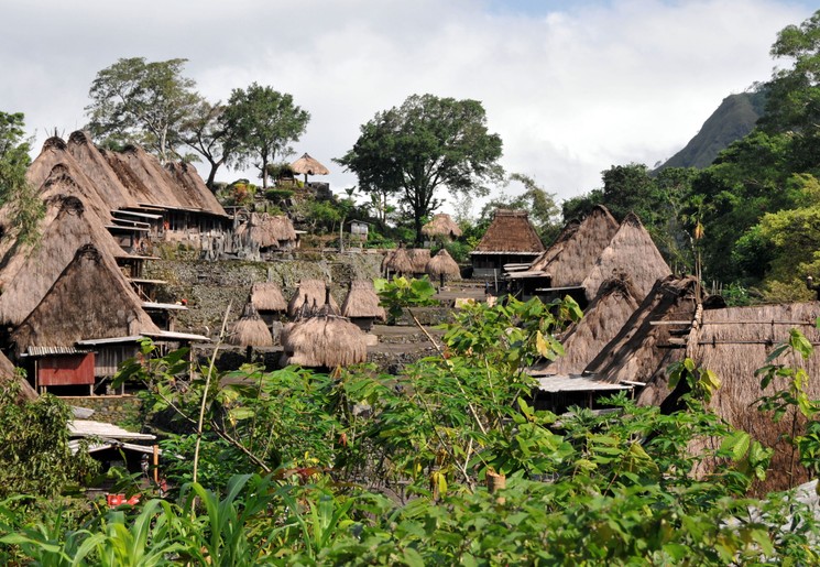 Traditionele Bajawa dorpen