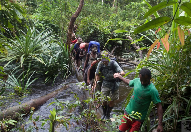Spannende trekking, Irian Jaya, Indonesië