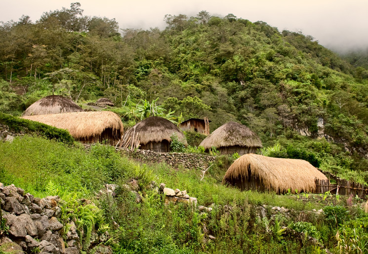 Ronde hutten met grasdaken in de Baliemvallei, Irian Jaya