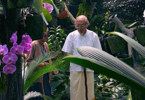 Indonesie-Java-Bogor-Botanische-tuin