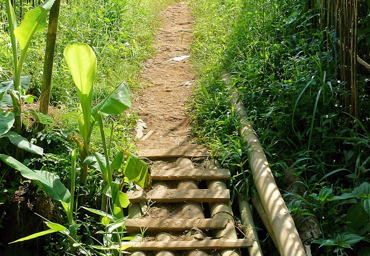 Indonesie-Java-Nagrak-wandelpad2