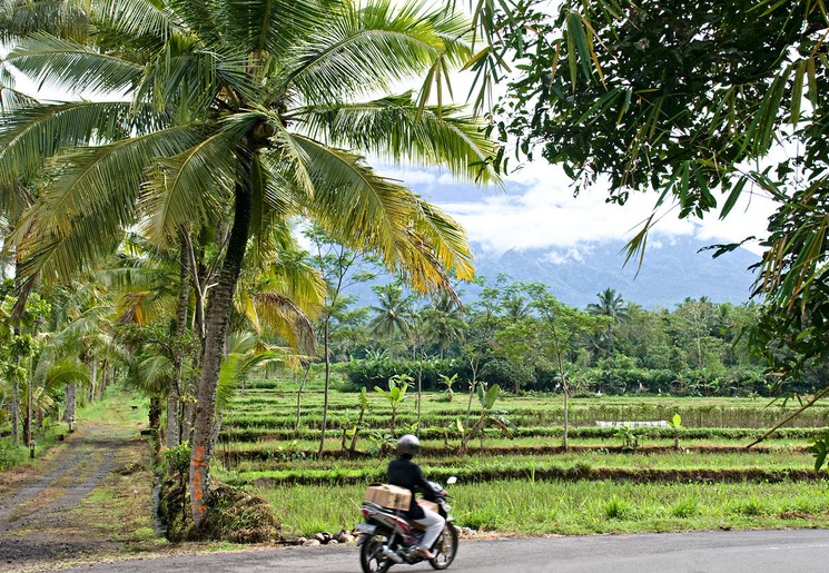 Indonesie-Java-Onderweg