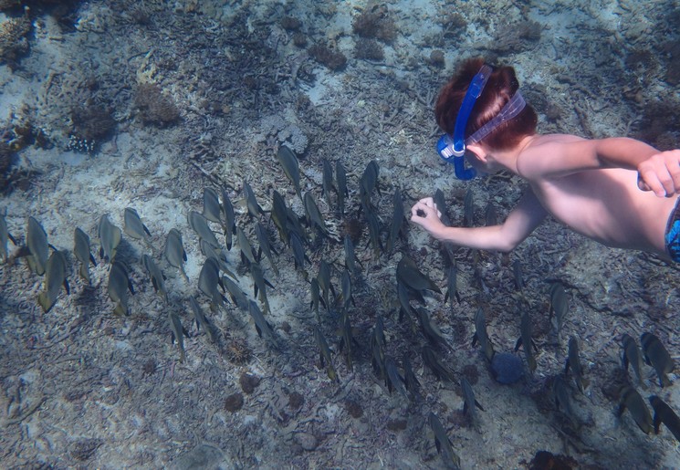 Snorkelen bij Nusa Lambongan Snorkelen bij Nusa Lambongan