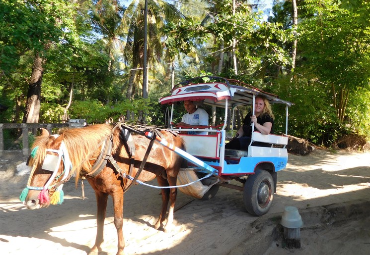 Indonesie-Lombok-GiliMeno-paardenwagen_3_287489
