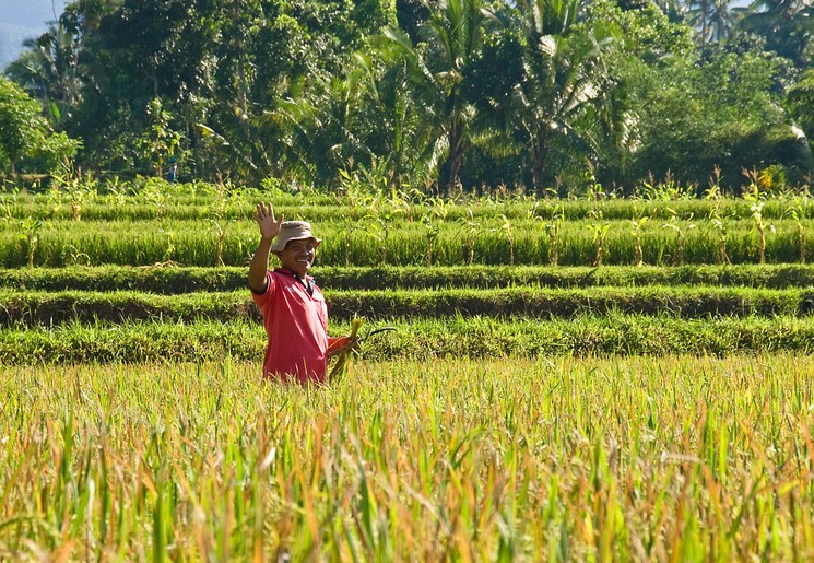 De vriendelijke bevolking op Lombok is hard aan het werk.