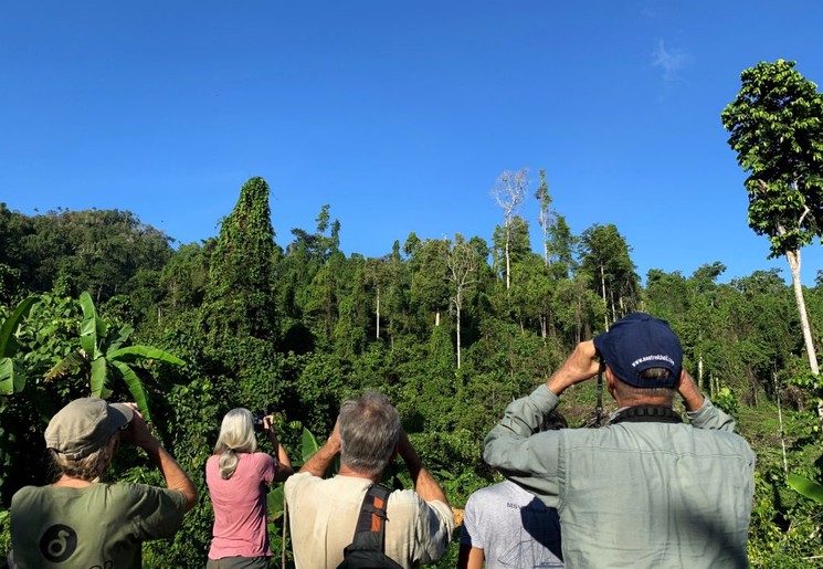 Indonesie-Raja-Ampat-Vogelspotten