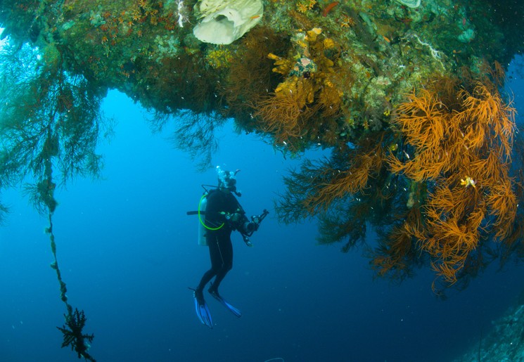 Indonesie-Sulawesi-Bunaken-onderwater84