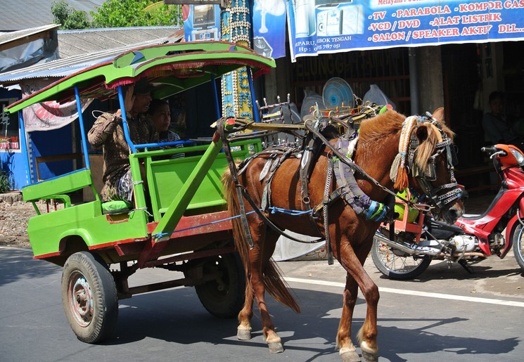Indonesie-Sumatra-bukittinggi-dokar