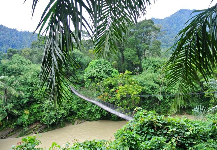 De jungle van Tangkahan is te bereiken via de hangbrug