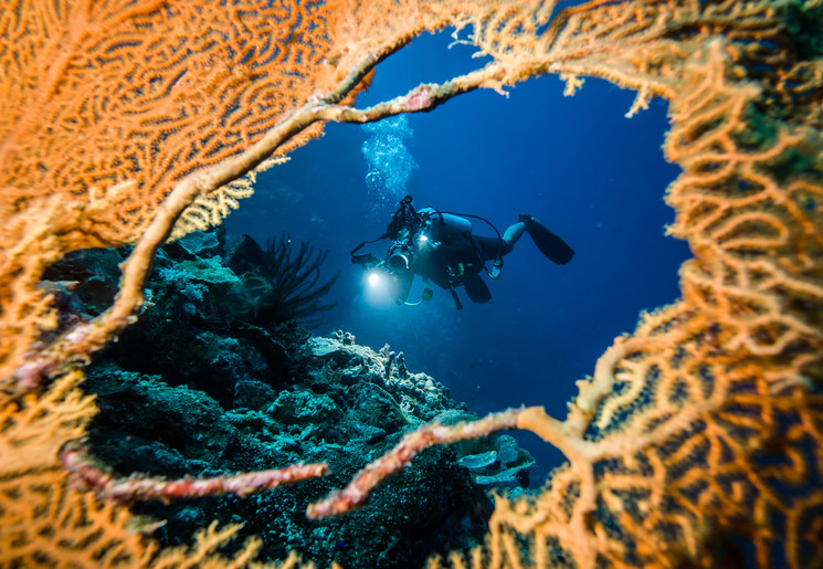 Indonesie-duiker-oostelijk-indonesie(13)
