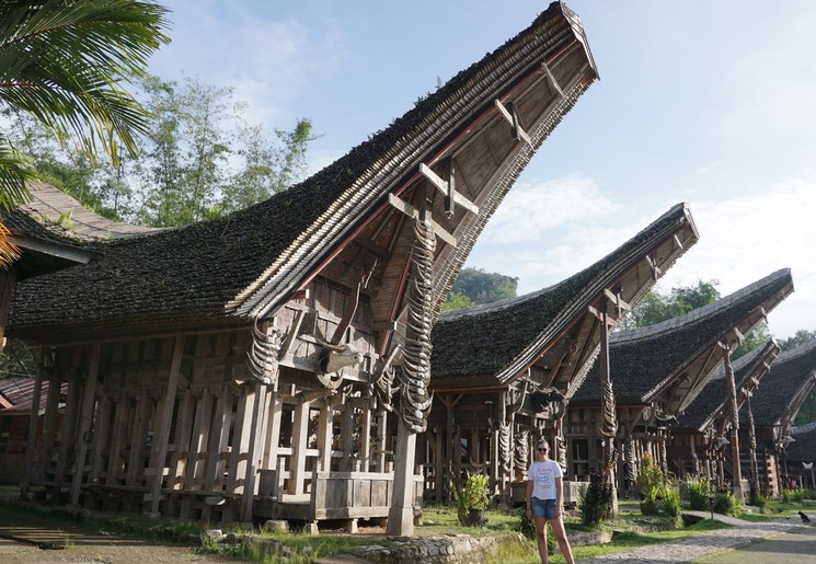 Traditionele Toraja-huizen op Sulawesi