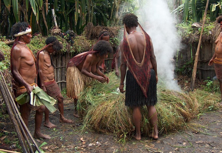 De Papoea's maken varken klaar tijdens het varkensfeest in de Baliemvallei De Papoea's maken varken klaar tijdens het varkensfeest in de Baliemvallei