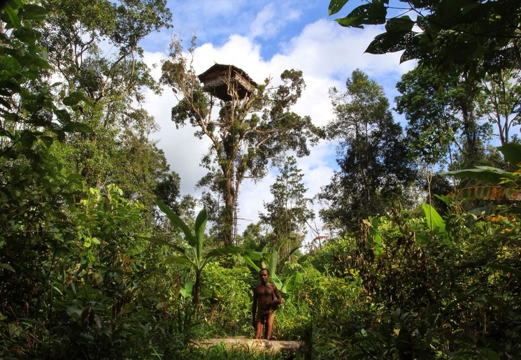 Irian-Jaya-Korowai-treehouse_1 Irian-Jaya-Korowai-treehouse_1