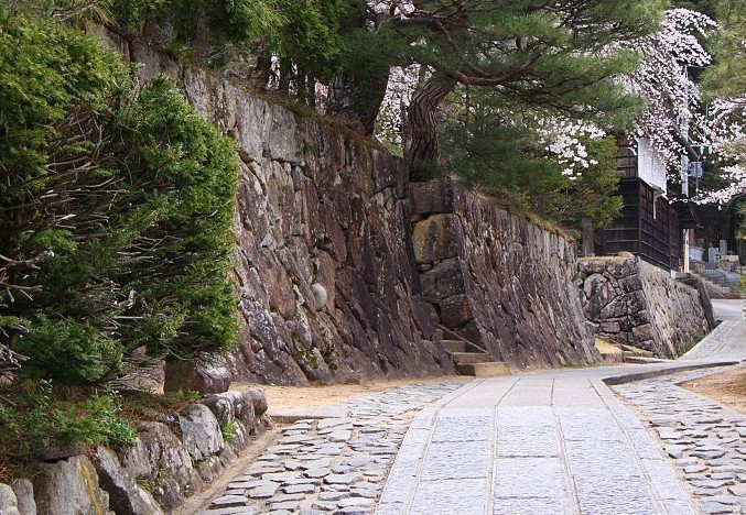 In de lente staat de kersenbloesem in bloei en is de Gashiyama wandelroute nog leuker om te doen