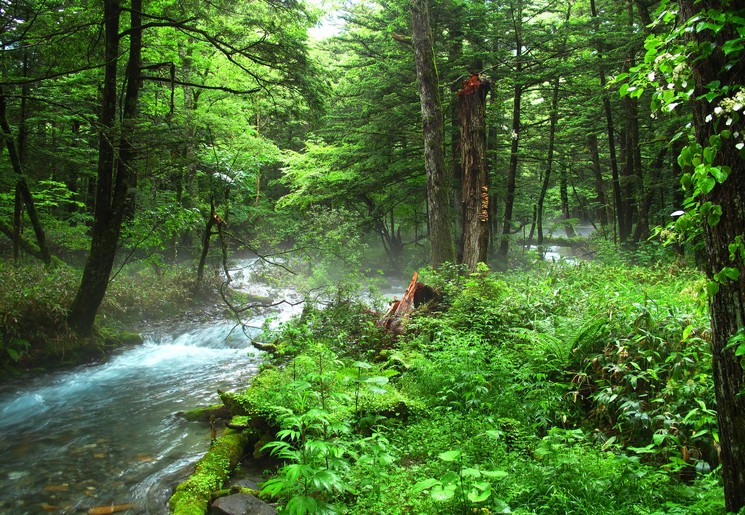 Japan-Kamikochi-Baden