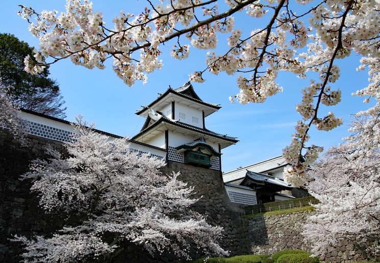 Het kasteel van Kanazawa omringd door Kersenbloesem in Japan