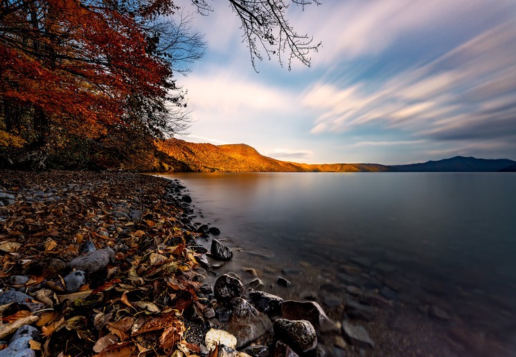 68aa225a-34b6-4936-bf85-1b1de191b5ff