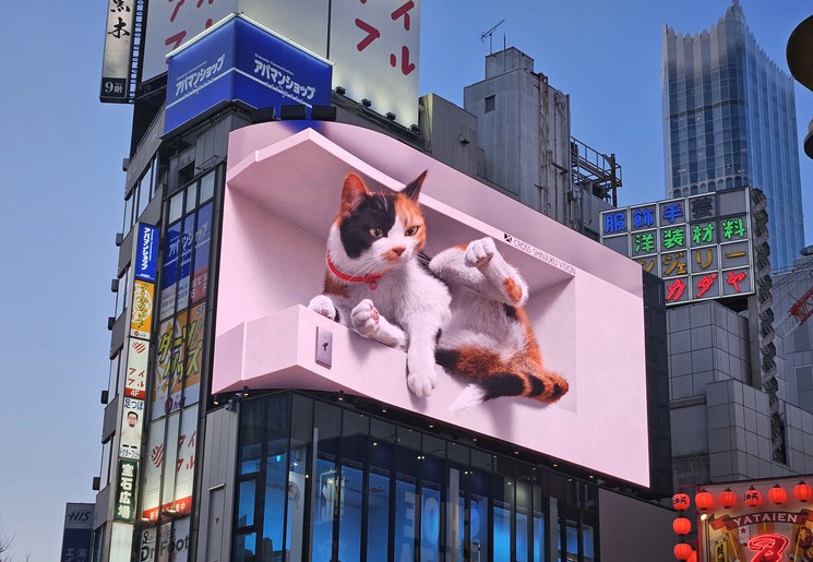 Straatbeeld in Tokyo, Japan