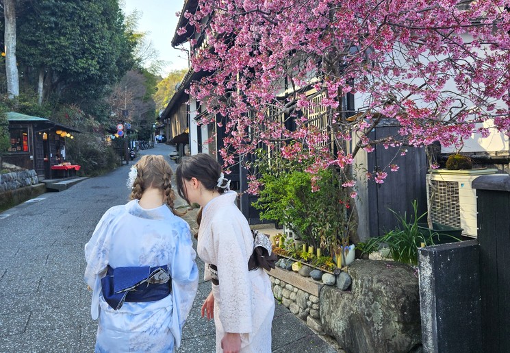 Japanners op straat in de bloesemtijd in Kyoto, Japan