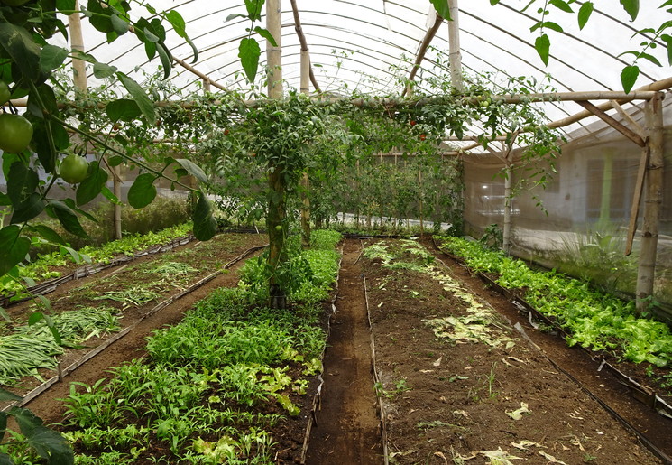 a3554aa9-ba2d-4867-b193-99eda788b676