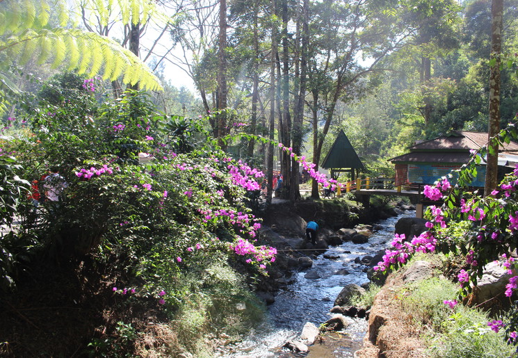 Java-Malang-Botanische-tuin