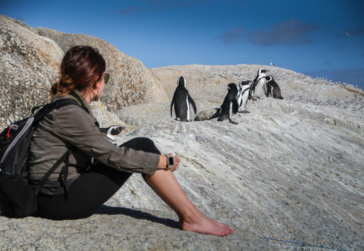 Pinguïns kijken bij Simonstown