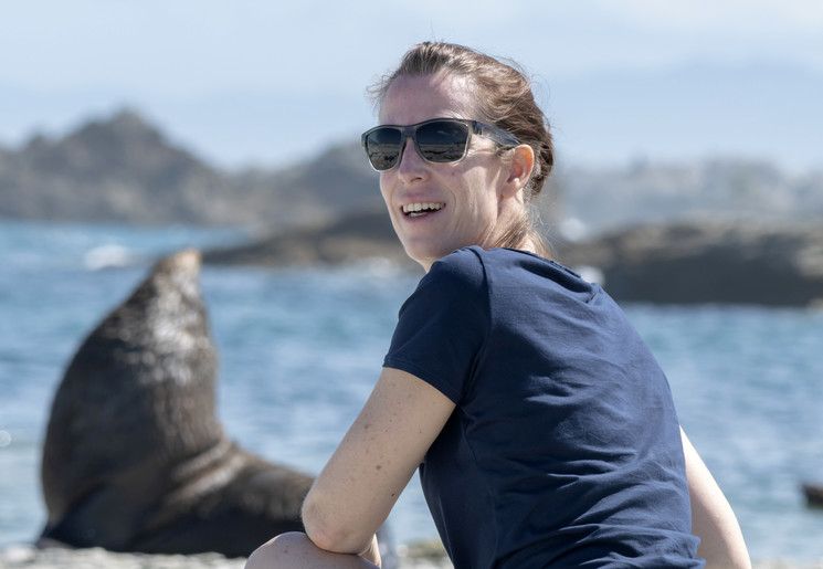 Zeehonden spotten aan de kust bij Kaikoura