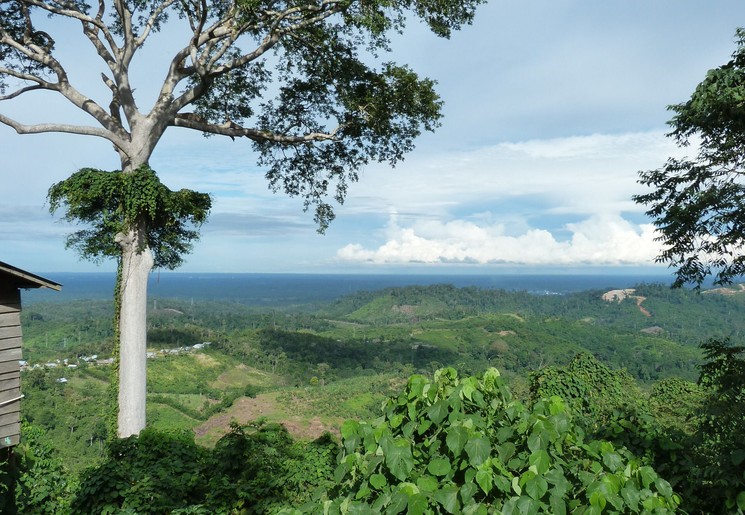 Kalimantan-Balikpapan-Muara Koman-landschap