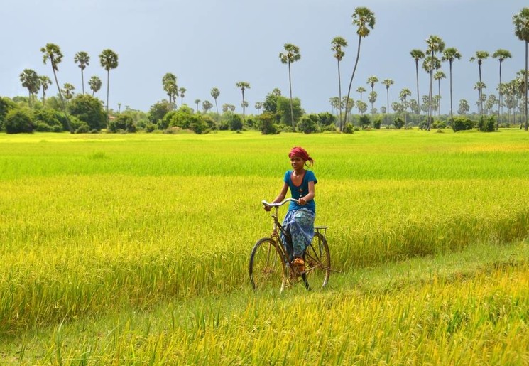 Local die fietst in Cambodja