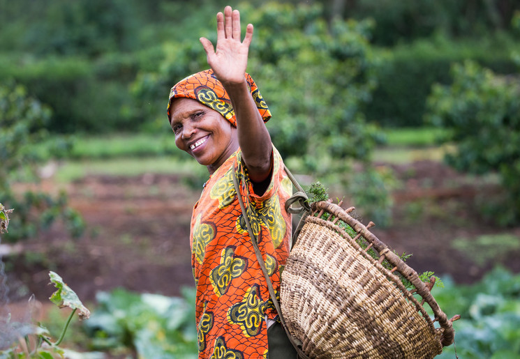 Een vriendelijke vrouw zwaait naar de toeristen op de koffieplantaage in Karatu, Tanzania