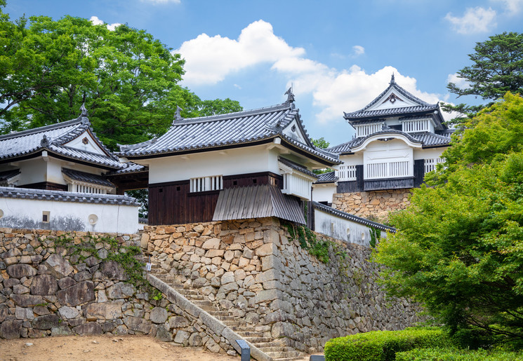 Tempels en kastelen bewonder op Shikoku