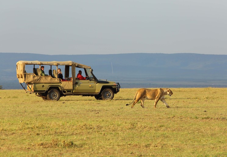 Spot wilde dieren in de Masai Mara National Park, Kenia