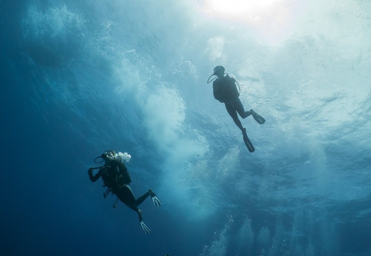 Duiktrip in Marine National Park Malindi, Kenia