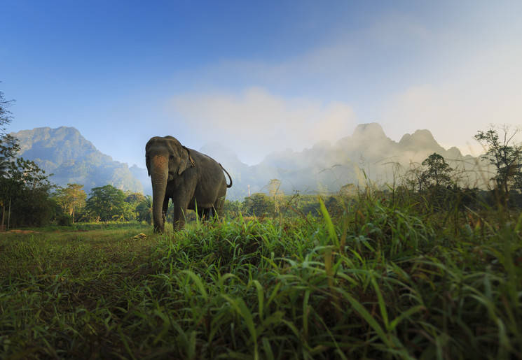 Van jungle naar strand in Thailand