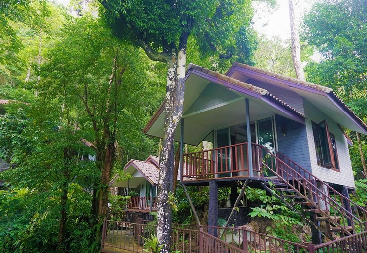 Treehouse in Khao Sok NP, Thailand