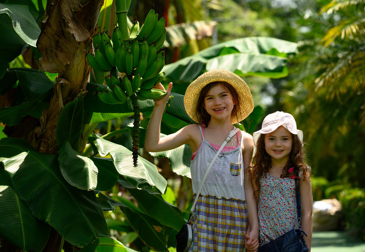 Met het gezin op rondreis naar Costa Rica