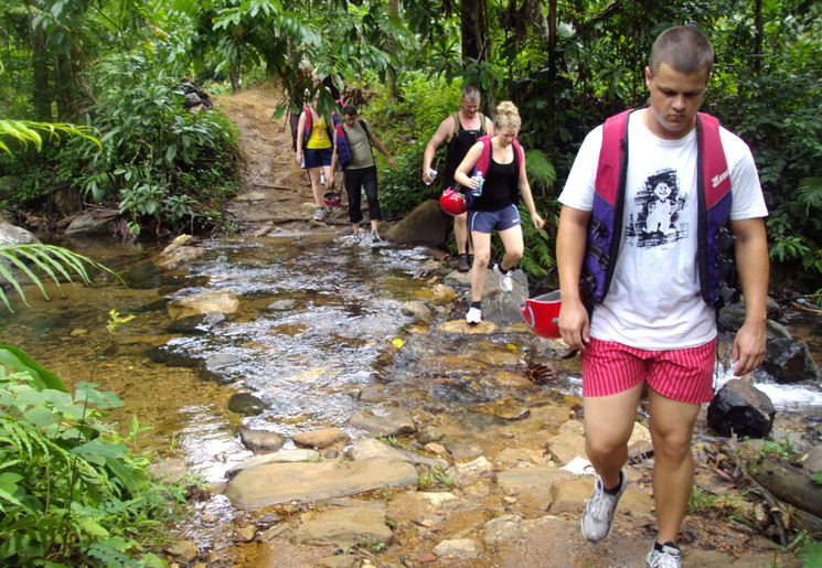 Een trekking maken door het regenwoud van Kitulgala, Sri Lanka