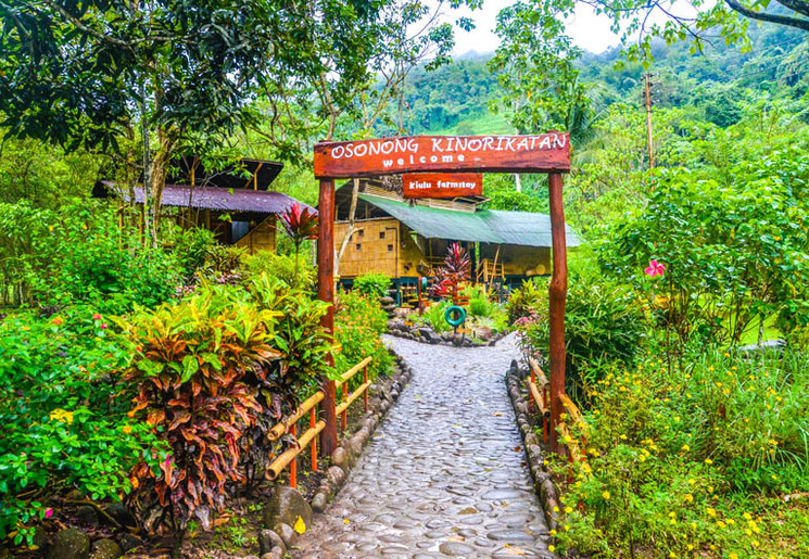 Slapen op een farmstay in Kiulu, Maleisië