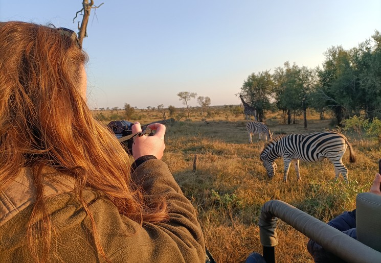Dieren spotten op Safari in Zuid-Afrika