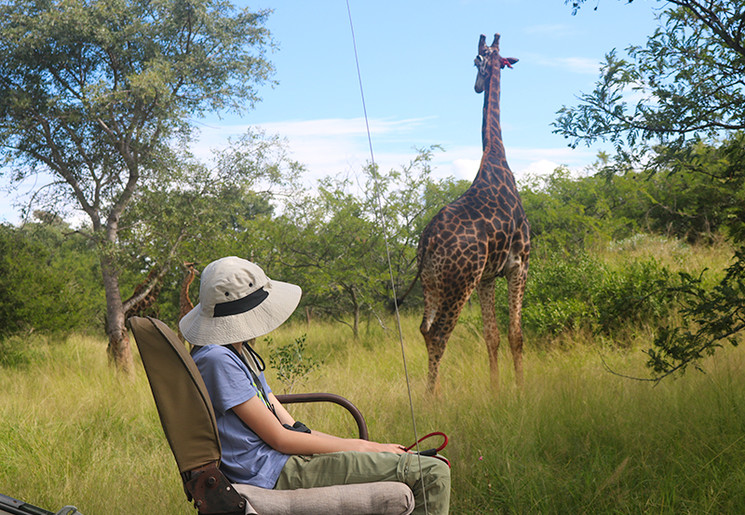 Op safari in het Kruger National Park