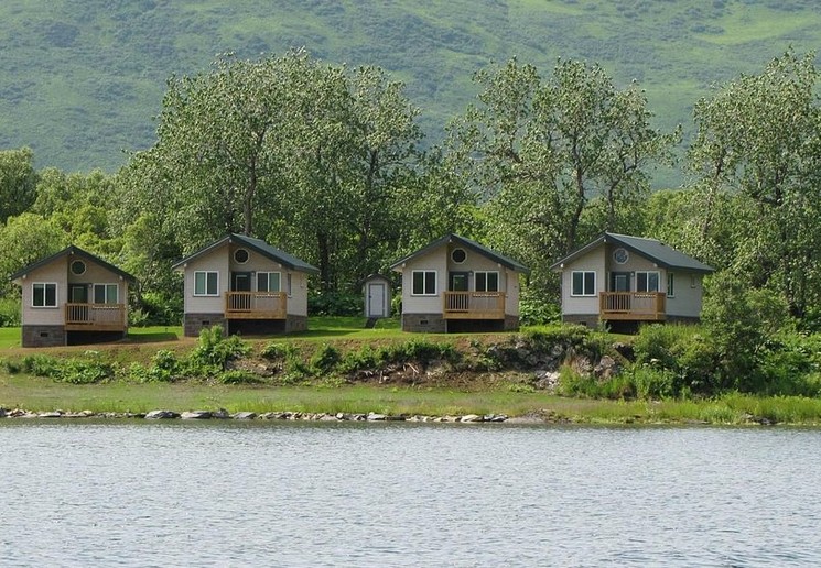 Kodiak Brown Bear Center